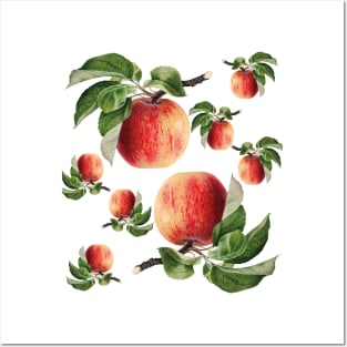 Fruit Apple Posters and Art